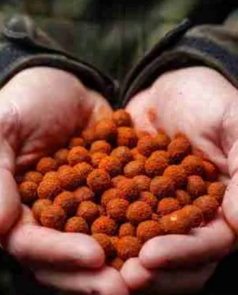 PARKER BAITS - 10 mm OG FISH SHELF LIFE BOILIES – 1KG CARP BARBEL CHUB